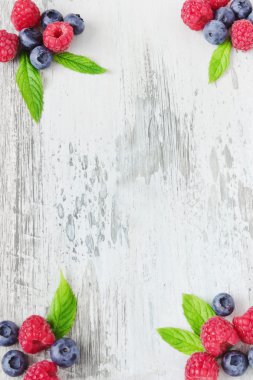  Ahududu ve yaban mersini 