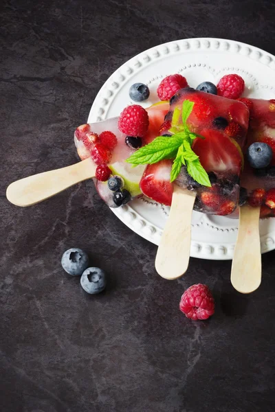 Gefrorene Beeren auf einem Stock — Stockfoto