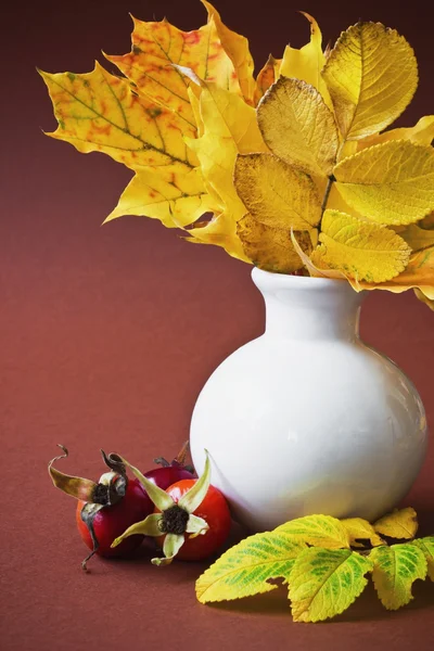 Autumn leaves in a white vase — Stock Photo, Image