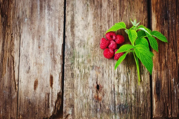 Raspberries — Stock Photo, Image