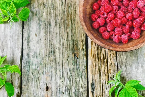 Rijpe frambozen — Stockfoto