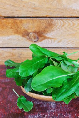 kuzukulağı yaprakları