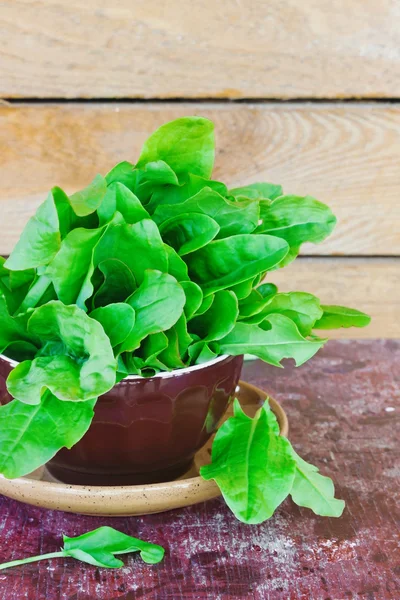 Fresh sorrel leaves — Stock Photo, Image