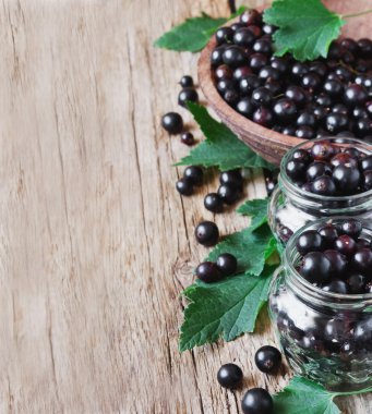 taze Siyah frenk üzümü