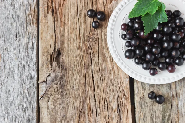 Black currant — Stock Photo, Image