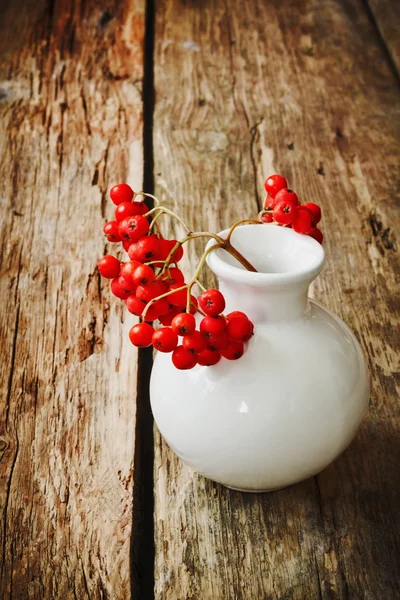 Roter Ebereschenzweig in einer weißen Vase — Stockfoto