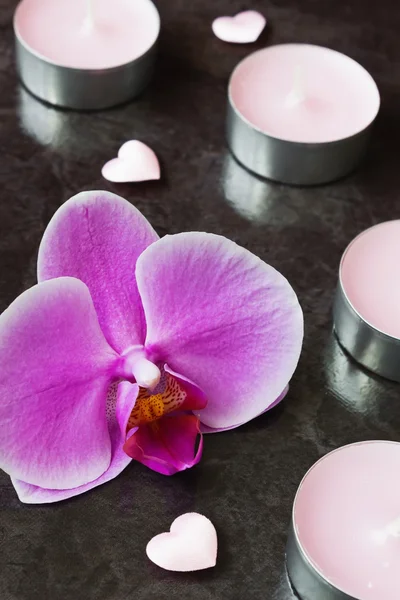 Orchid and candles — Stock Photo, Image