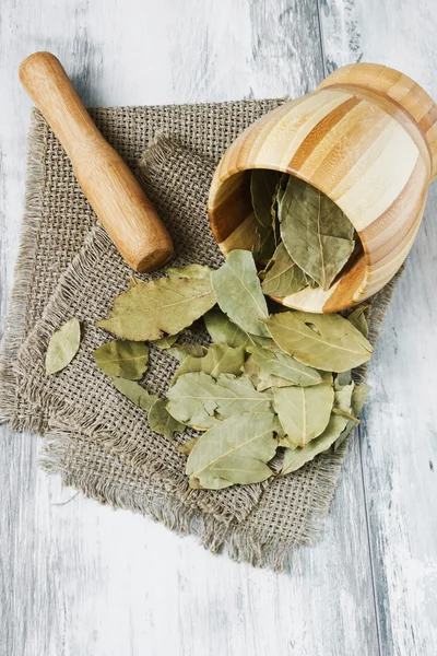 Dried bay leaves — Stock Photo, Image