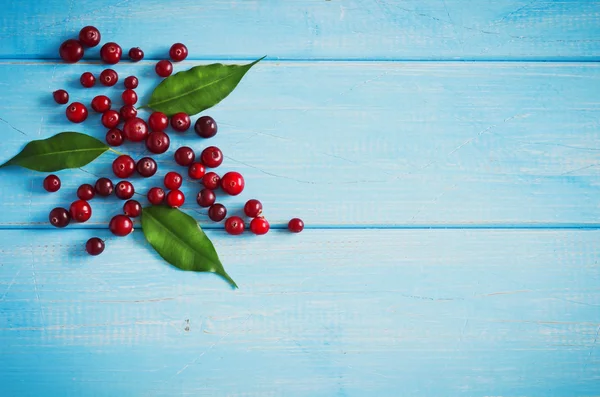 Reife Preiselbeeren — Stockfoto