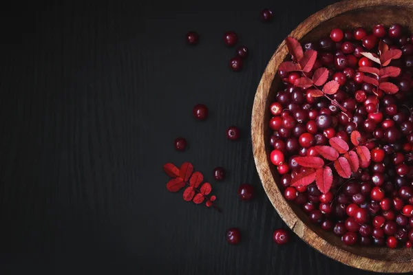 Reife Preiselbeeren — Stockfoto