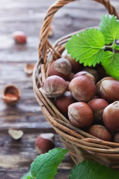 Hazelnuts — Stock fotografie