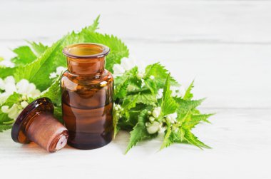 nettle essence oil