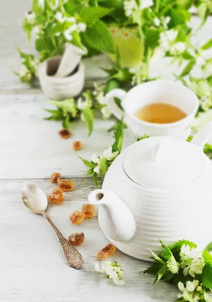 Nettle tea — Stock Photo, Image