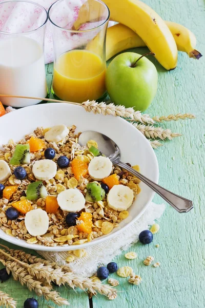 Muesli met fruit — Stockfoto