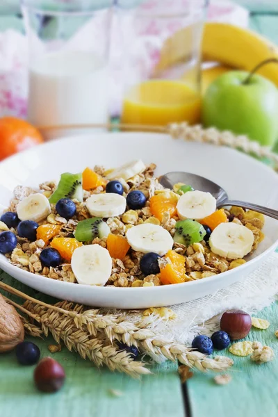 Muesli met fruit — Stockfoto