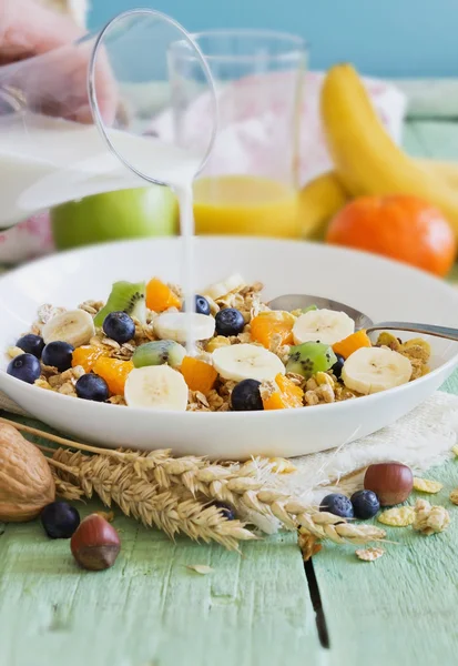 Muesli met fruit — Stockfoto