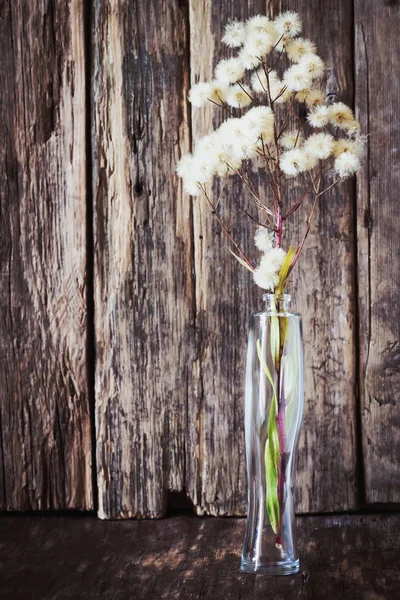Getrocknete Wildblumen — Stockfoto