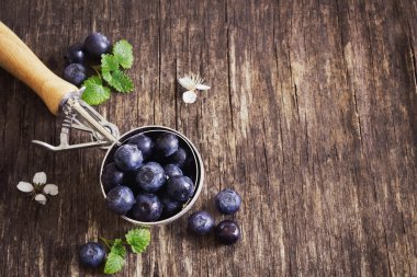 bir kepçe içinde olgunlaşmış yaban mersini