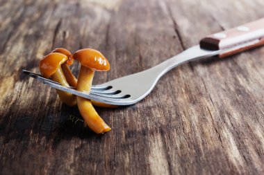 ev yapımı Marine mantar