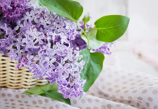 Fresh lilacs in a basket — Stock Photo, Image