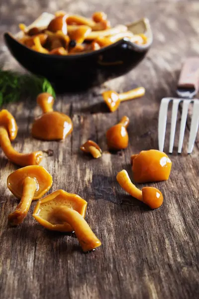 Heerlijke gemarineerde paddestoelen — Stockfoto