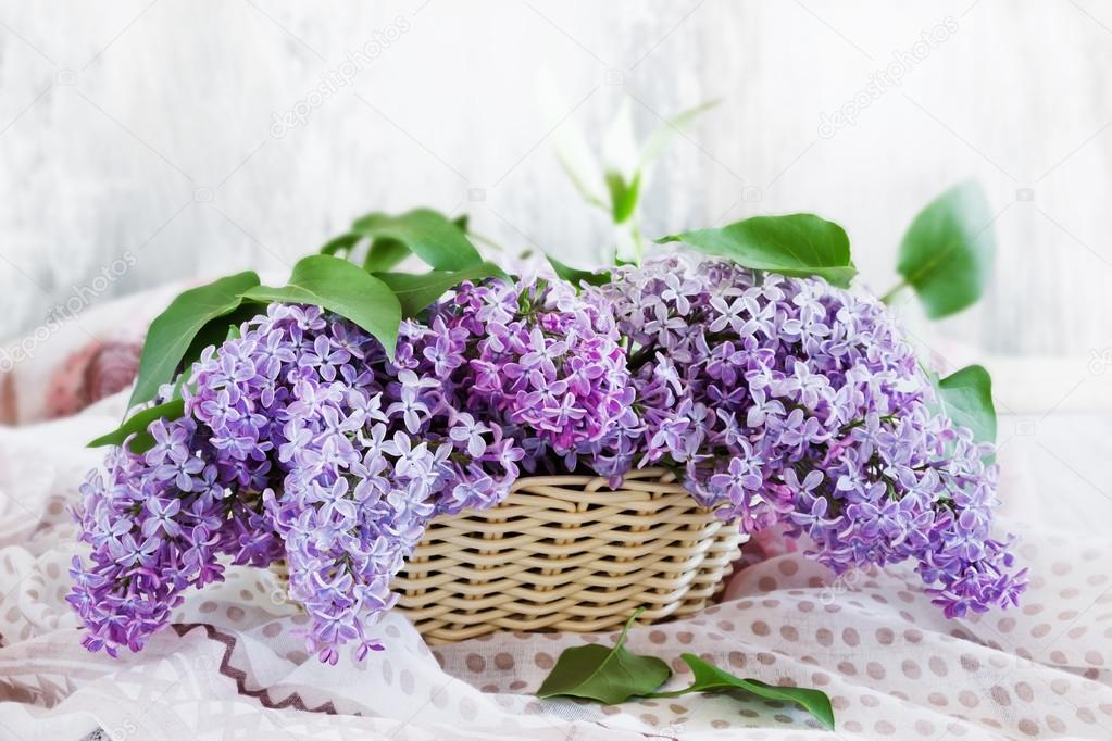 Fresh lilacs in a basket — Stock Photo © Saharosa39 92128758