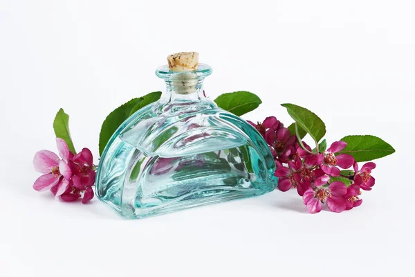 Aromatisches Blütenöl — Stockfoto