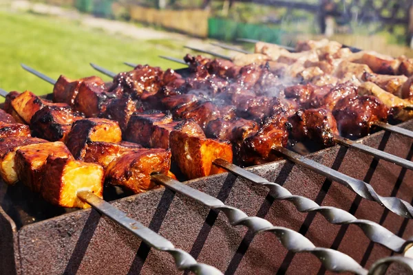 Shish kebab on metal skewers — Stock Photo, Image