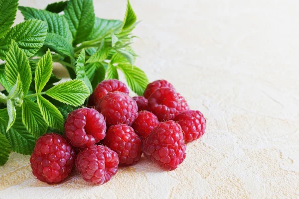 Reife saftige Himbeeren — Stockfoto