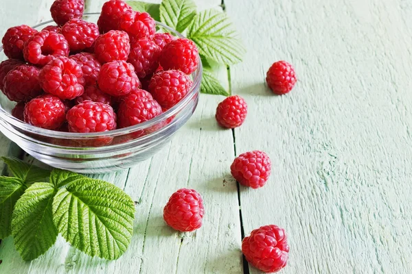 Reife saftige Himbeeren — Stockfoto