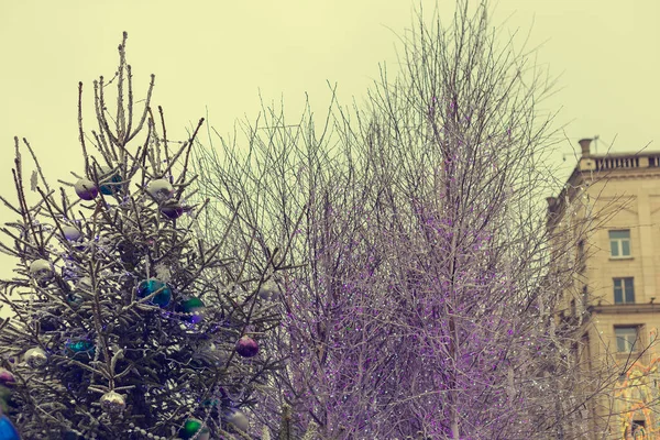 Decorative Birches New Year Street Decorated Purple Garlands Decoration Festive — Stock Photo, Image
