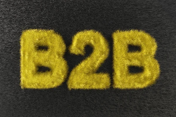Fluffy B2B Inscrição Fundo Escuro Negócio Para Decodificação Negócios Letras — Fotografia de Stock