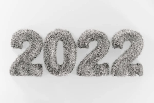 Fluffig Grå Text 2022 Vit Bakgrund Grå Inskription Päls Bakgrund — Stockfoto