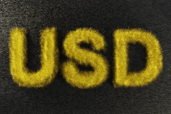 Golden Fluffy Luxury Inscription Usd Acronym United States Dollar Made — Stock Photo, Image