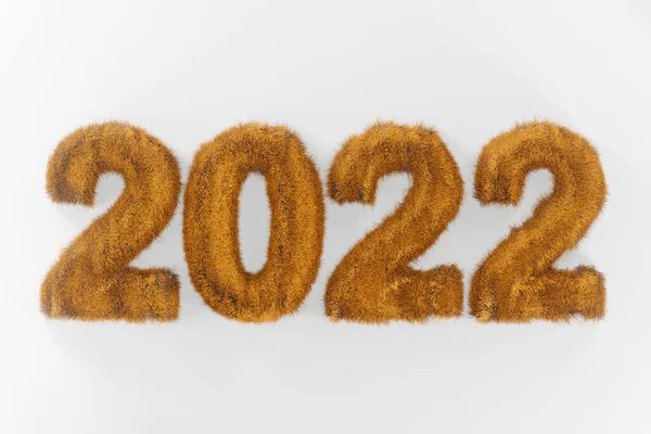 Fluffig Gyllene Text 2022 Vit Bakgrund Gul Inskription Päls Bakgrund — Stockfoto