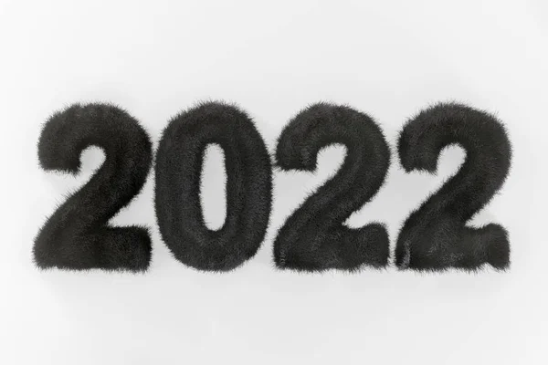 Fluffig Svart Text 2022 Vit Bakgrund Mörk Inskription Päls Bakgrund — Stockfoto