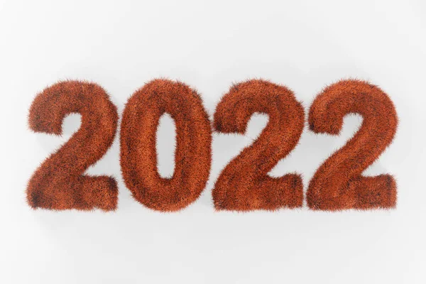 白い背景にふわふわの赤いテキスト2022 毛皮の背景にオレンジの碑文22年 クリスマスイラスト 3Dレンダリング — ストック写真
