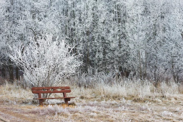 Îngheț forestier — Fotografie, imagine de stoc