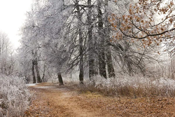 Unexpected snow — Stock Photo, Image