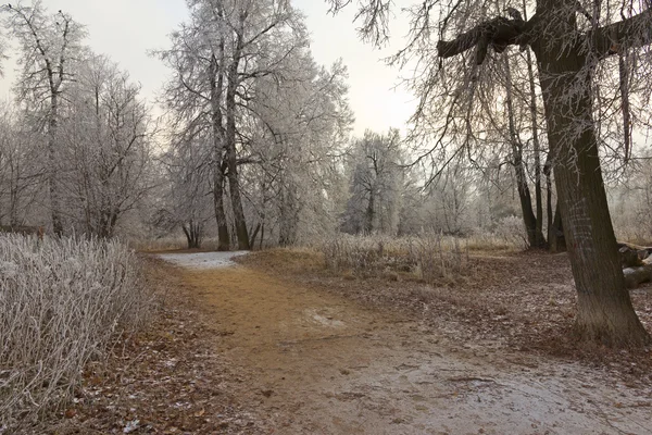 Neve inesperada — Fotografia de Stock