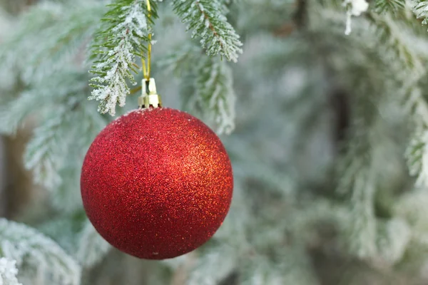 Agujas en la helada con un juguete de Navidad —  Fotos de Stock