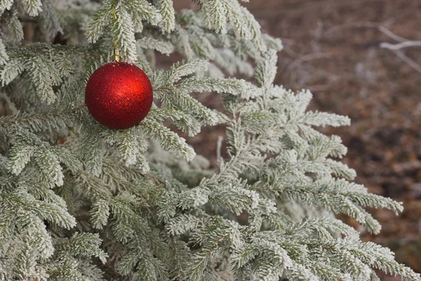 Frost bir Noel oyuncak ile iğneler — Stok fotoğraf
