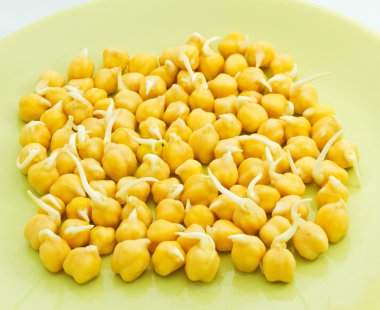 sağlıklı bir diyet.