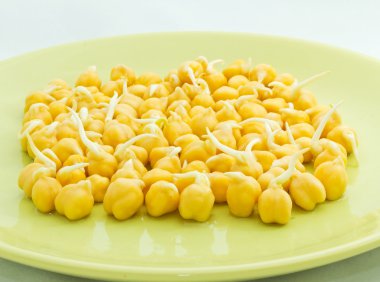 sağlıklı bir diyet.