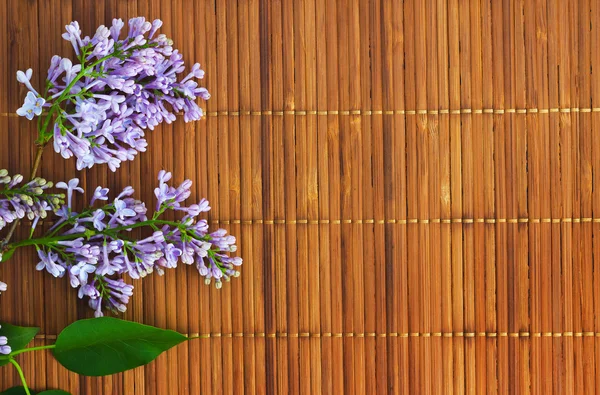 Bakgrund med lila blommor på sockerrör bakgrund. — Stockfoto