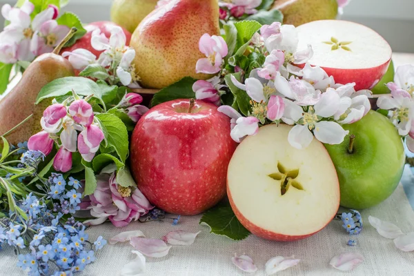 Apple and pears in spring composition — Stock Photo, Image