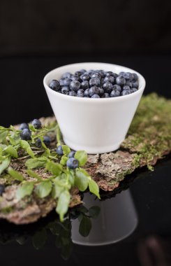 Yaban mersini moss ile kabuk üzerinde beyaz kase