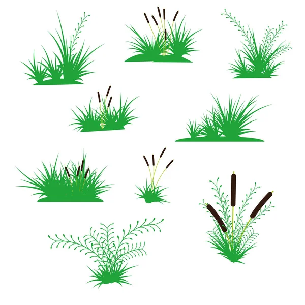 Muchos Elementos Vegetales Arbustos Juncos Hojas Verdes Hierba Para Diseño — Archivo Imágenes Vectoriales