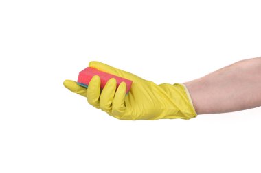 Lastik eldivendeki bir el bulaşık süngeri tutar.. 