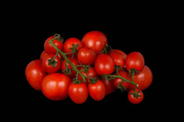 Grande Ramo Tomates Fundo Preto — Fotografia de Stock
